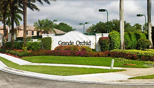Grande Orchid