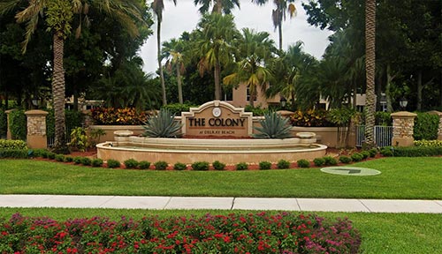 The Colony